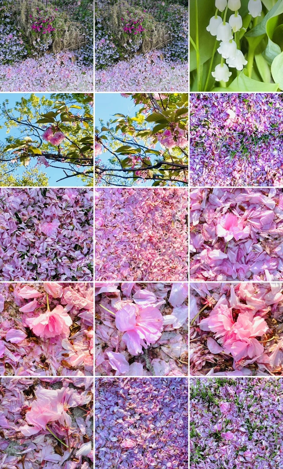 IMG_6238.jpg?type=w966