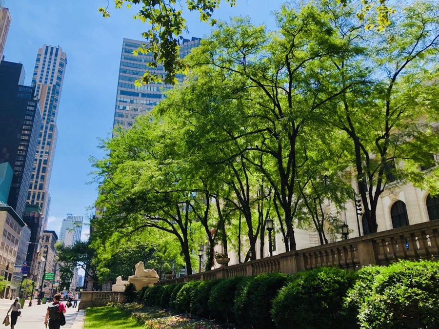 IMG_5421.jpg?type=w966