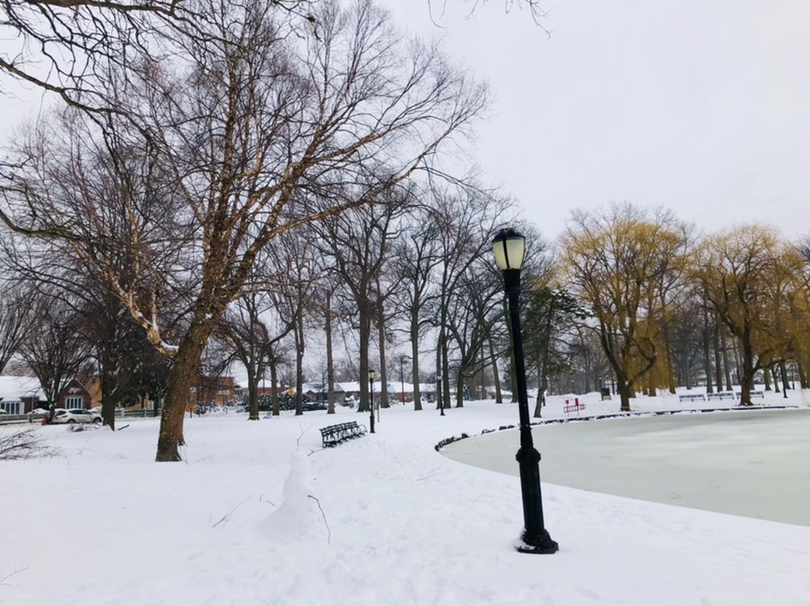 IMG_8960.jpg?type=w966