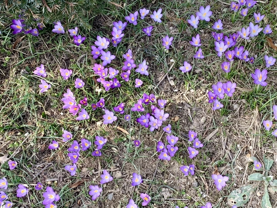 IMG_0280.jpg?type=w966