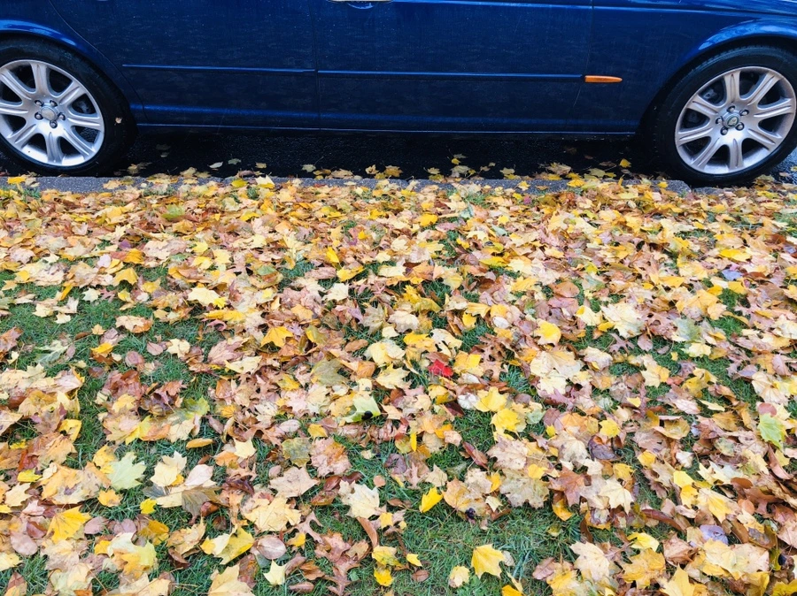 IMG_2250.jpg?type=w966