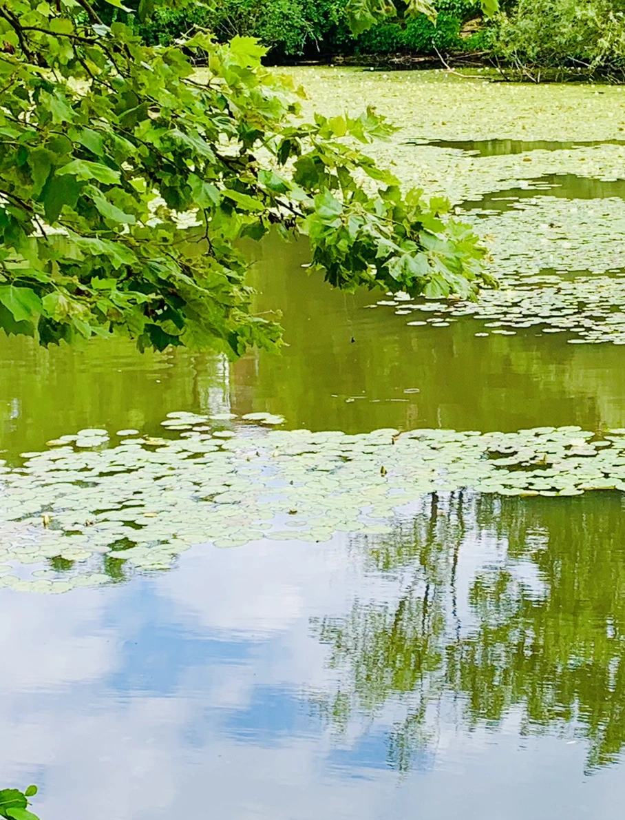 IMG_0712.jpg?type=w966