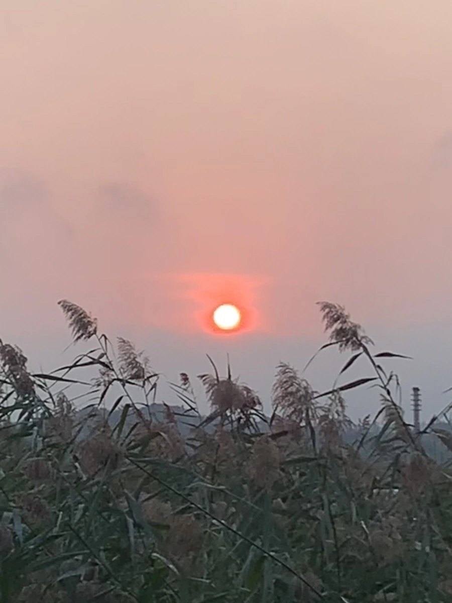 IMG_1102.jpg?type=w966