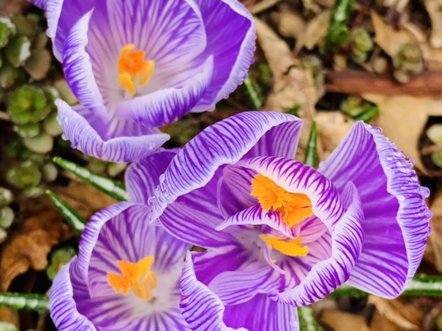 IMG_3763.jpg?type=w966