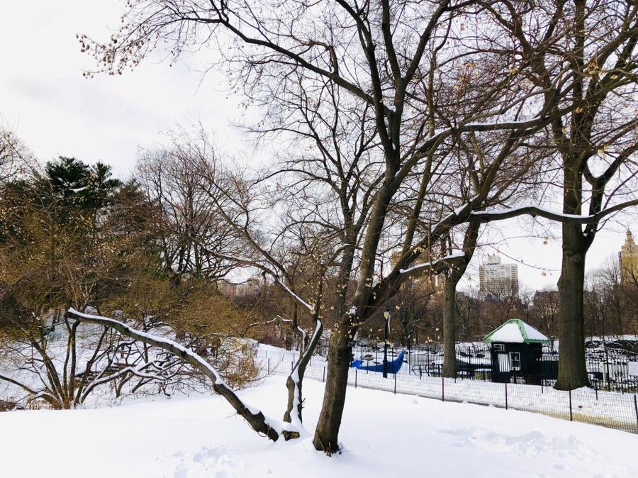 IMG_7343.jpg?type=w966