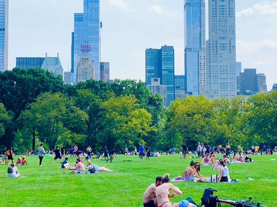 IMG_0590.jpg?type=w966