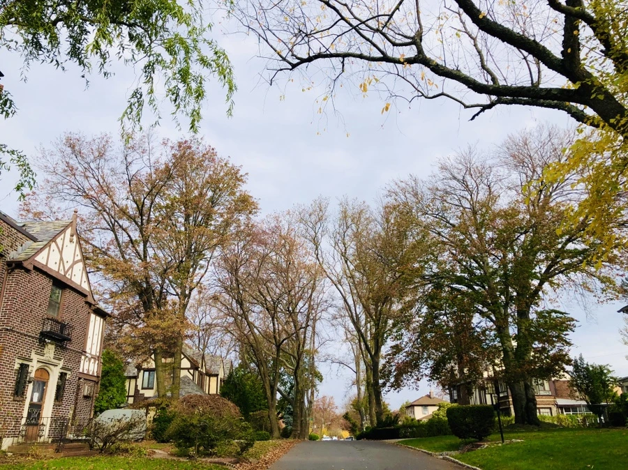 IMG_4760.jpg?type=w966