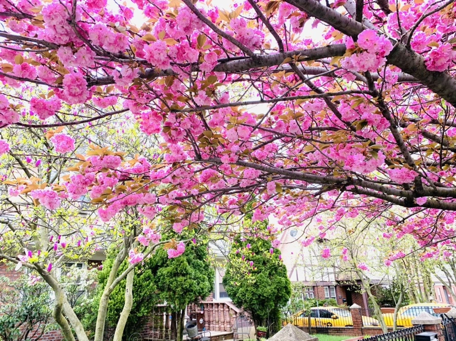 IMG_5466.jpg?type=w966