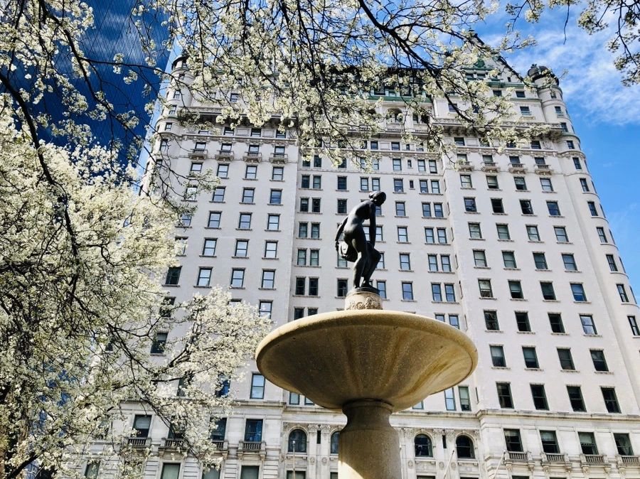 IMG_6686.jpg?type=w966