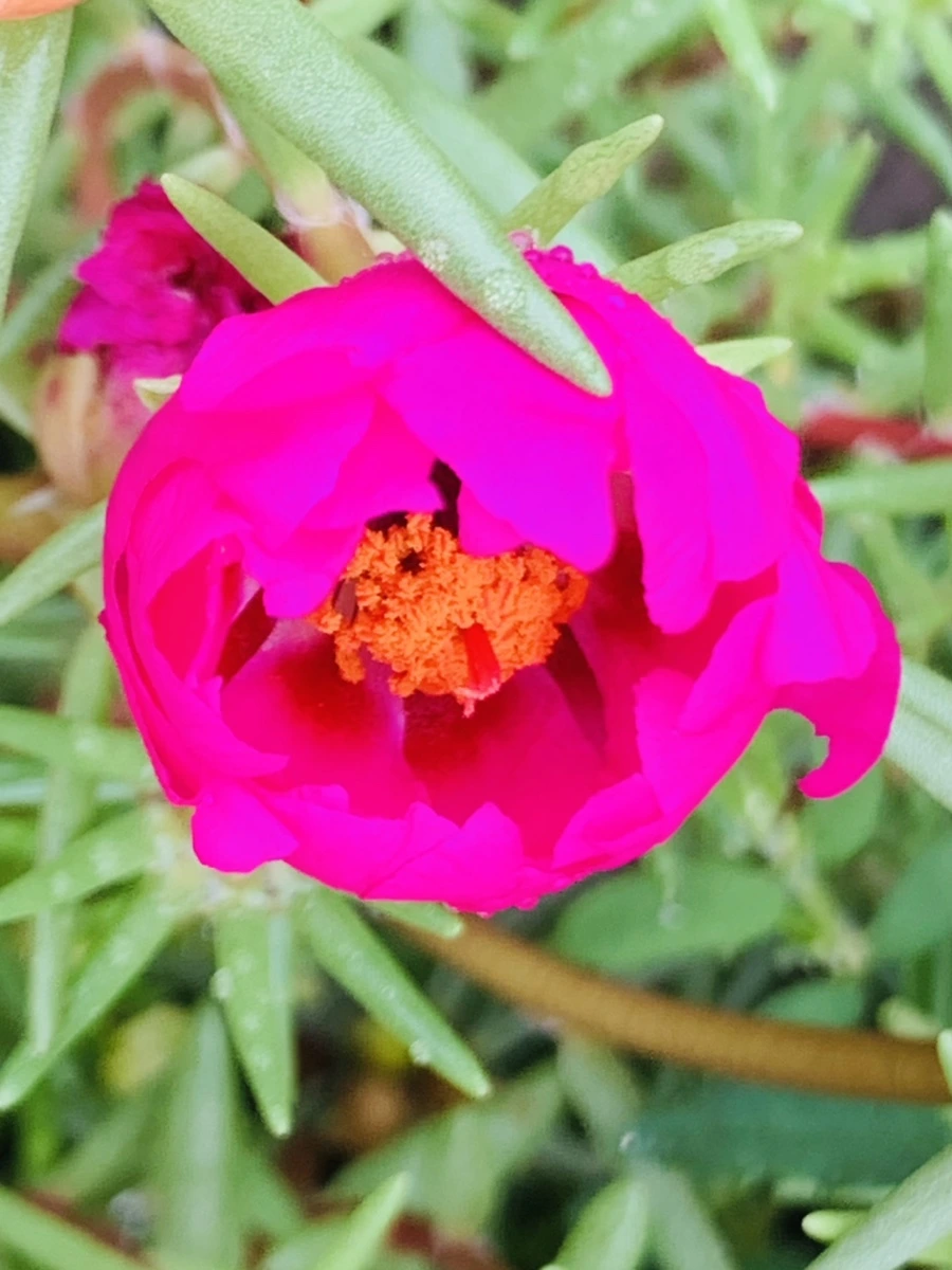 IMG_4943.jpg?type=w966