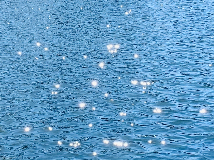 IMG_7546.jpg?type=w966