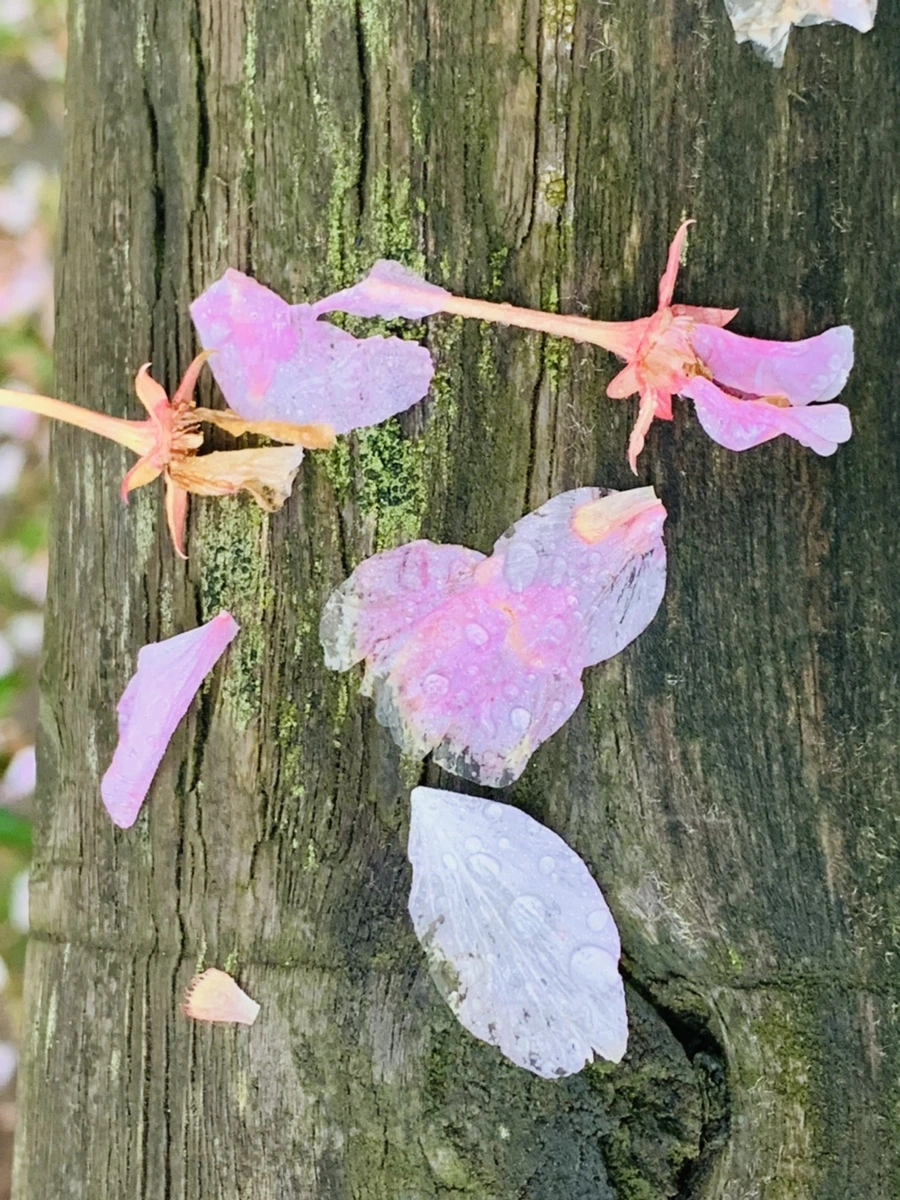 IMG_9452.jpg?type=w966