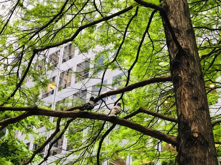 IMG_4671.jpg?type=w966