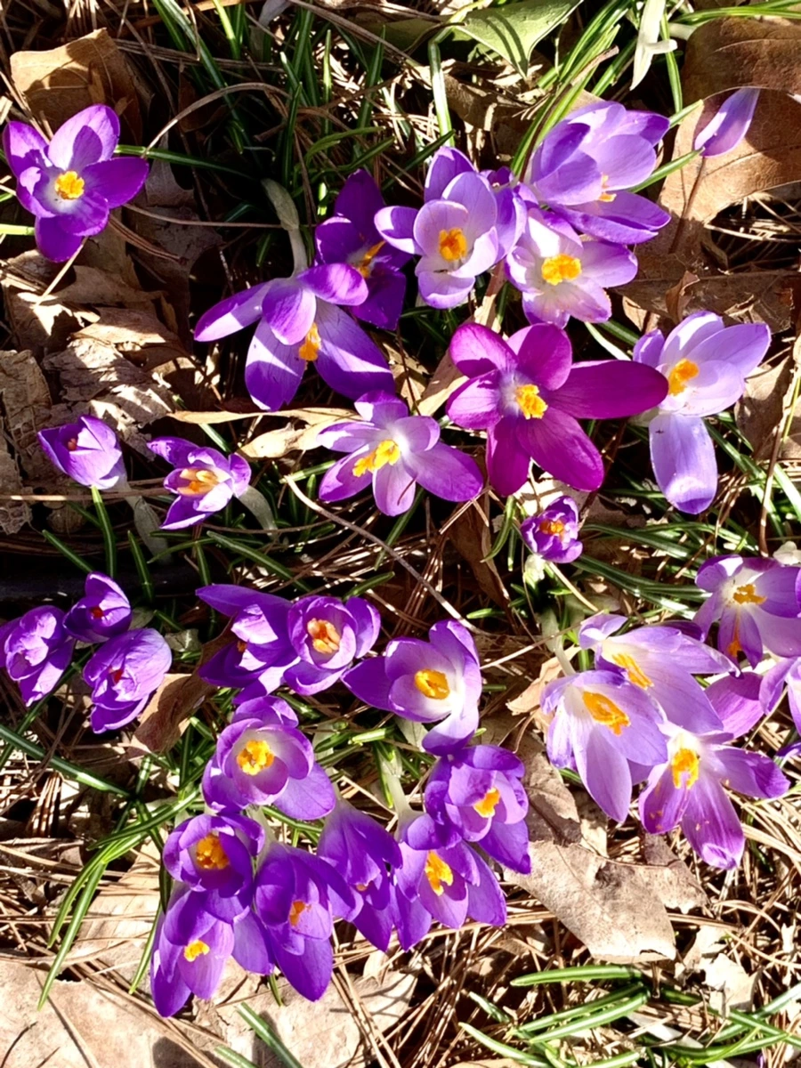 IMG_9646.jpg?type=w966