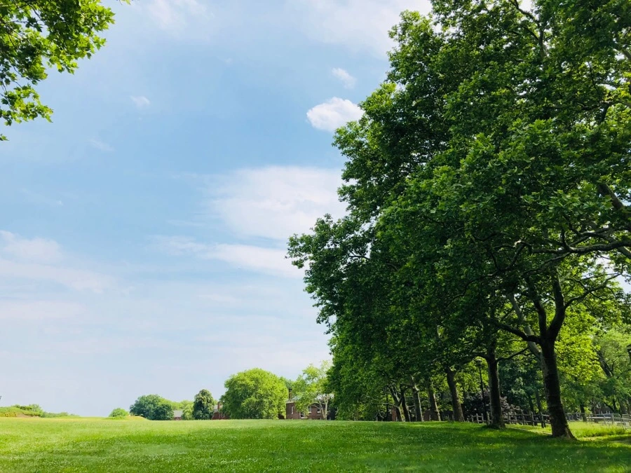 IMG_7457.jpg?type=w966