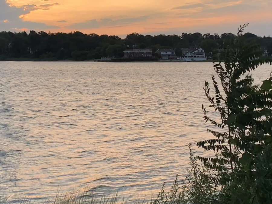 IMG_1705.jpg?type=w966