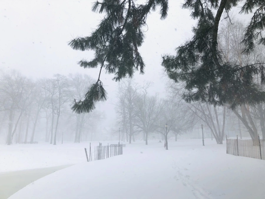 IMG_8827.jpg?type=w966