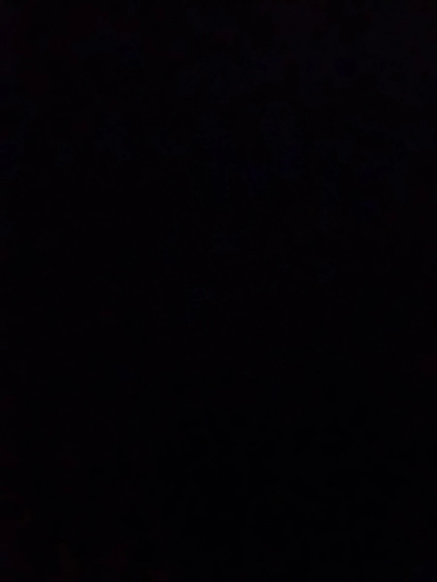 IMG_0108.jpg?type=w966