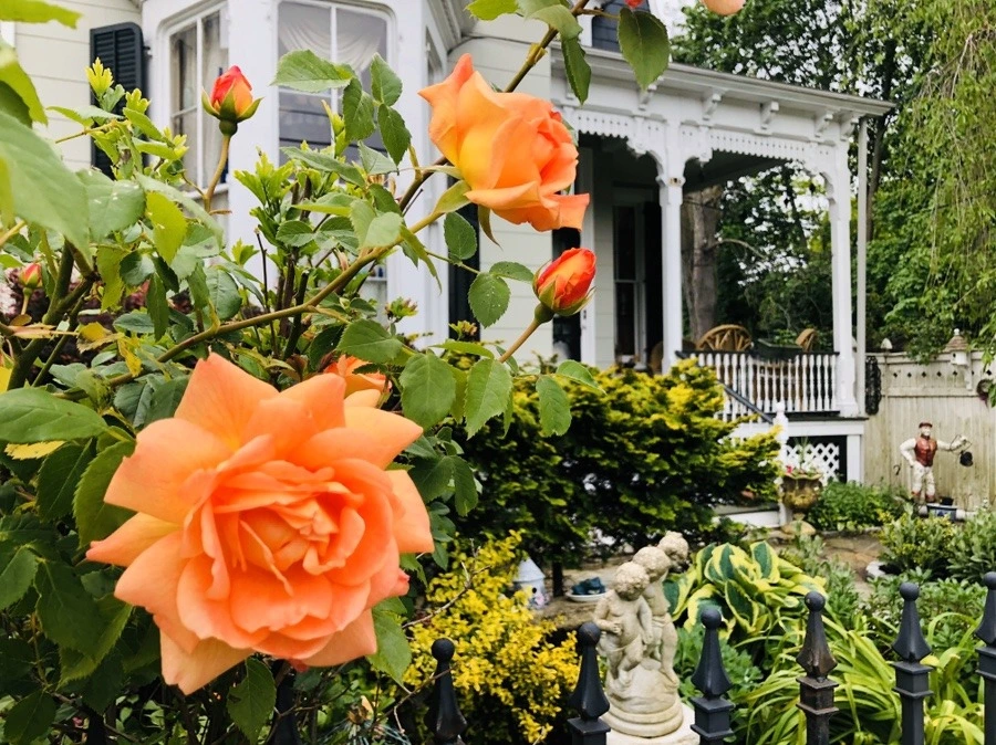 3XYNE__YtNB8VqQTOFvMP5p5uzw