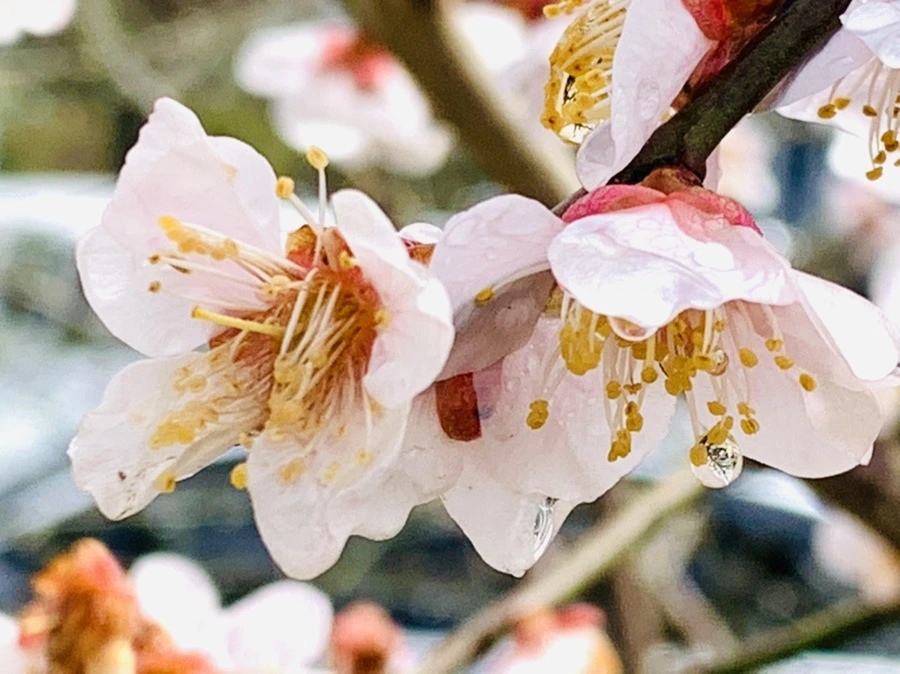 IMG_3973.jpg?type=w966