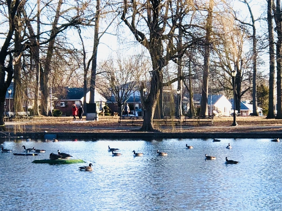 IMG_1397.jpg?type=w966