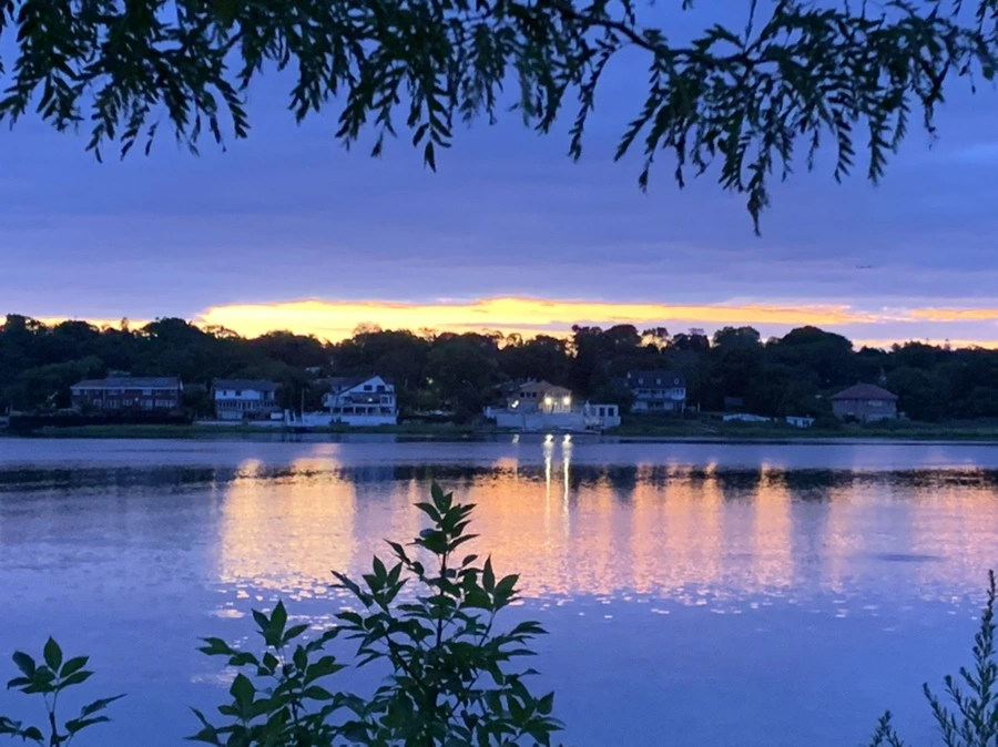 IMG_2254.jpg?type=w966