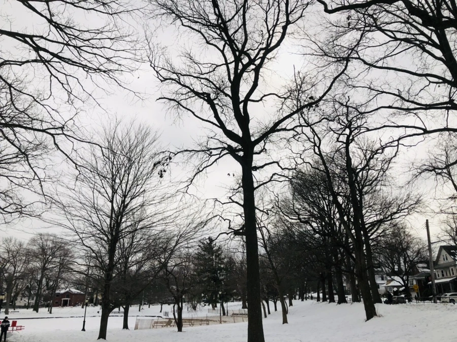 IMG_2623.jpg?type=w966