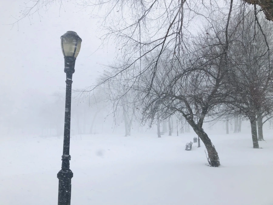 IMG_8810.jpg?type=w966