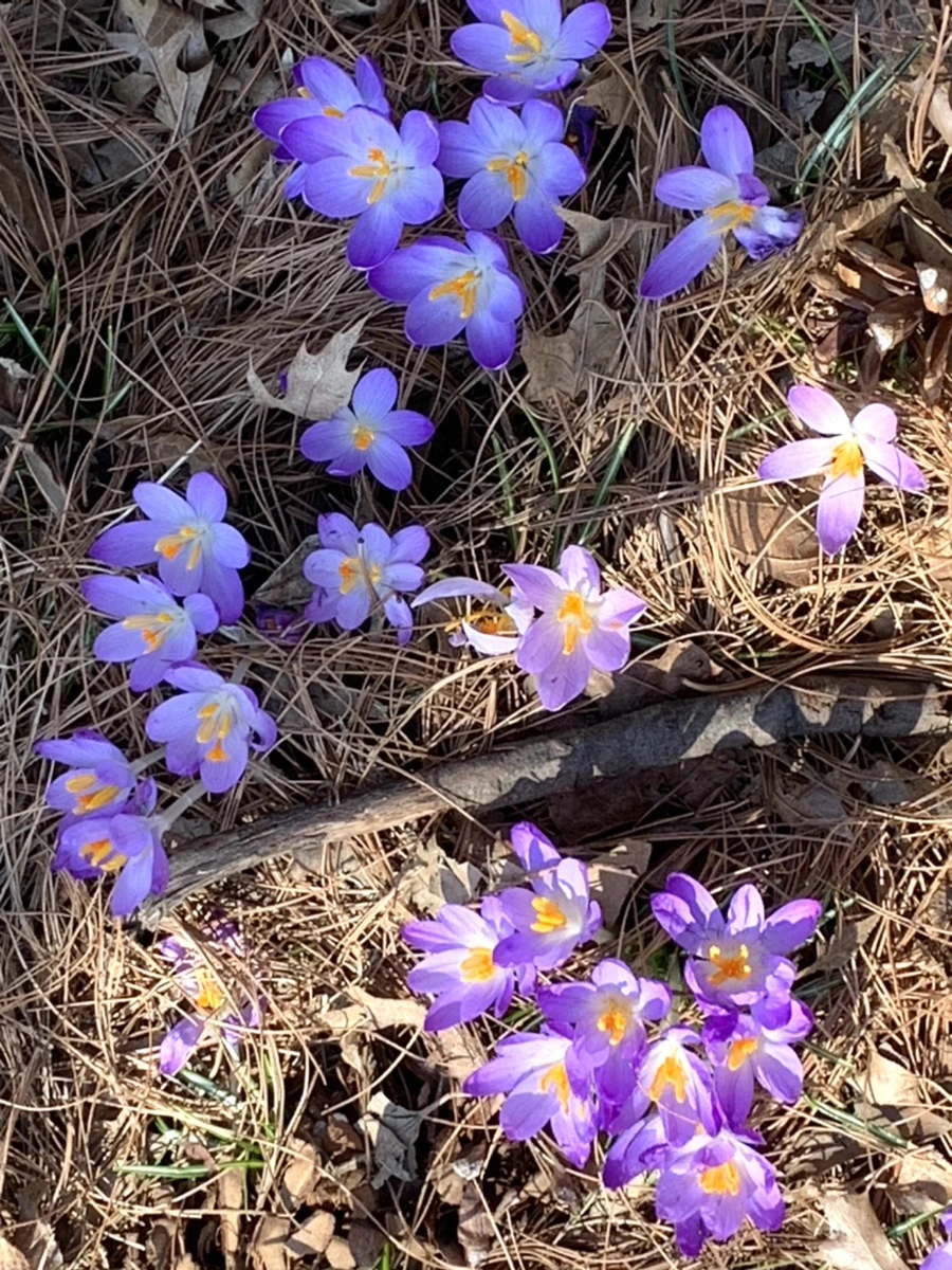 IMG_9753.jpg?type=w966