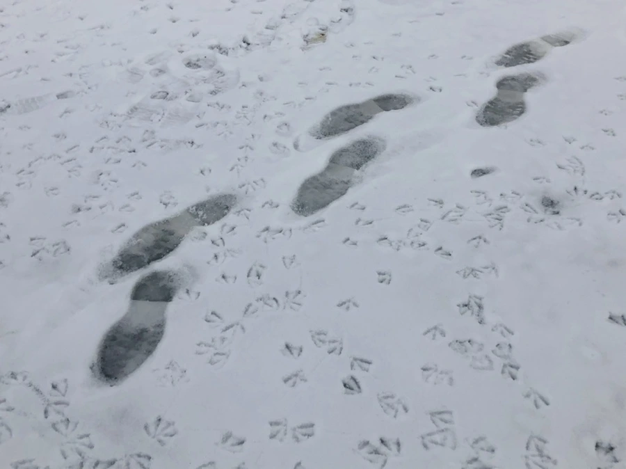 IMG_2570.jpg?type=w966