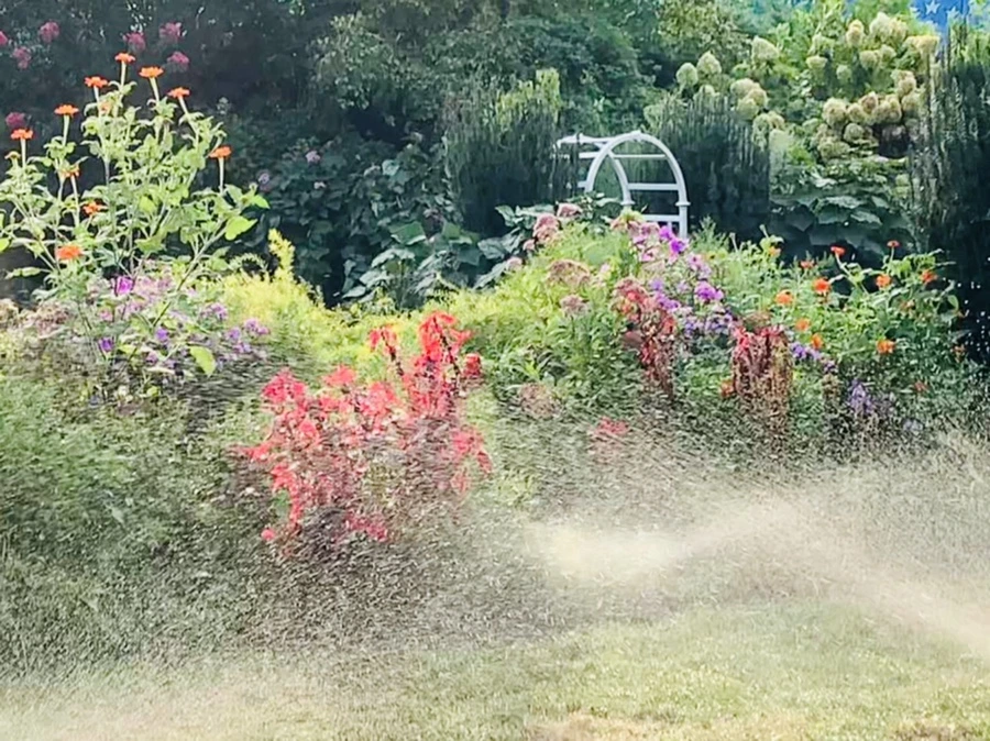 IMG_1237.jpg?type=w966