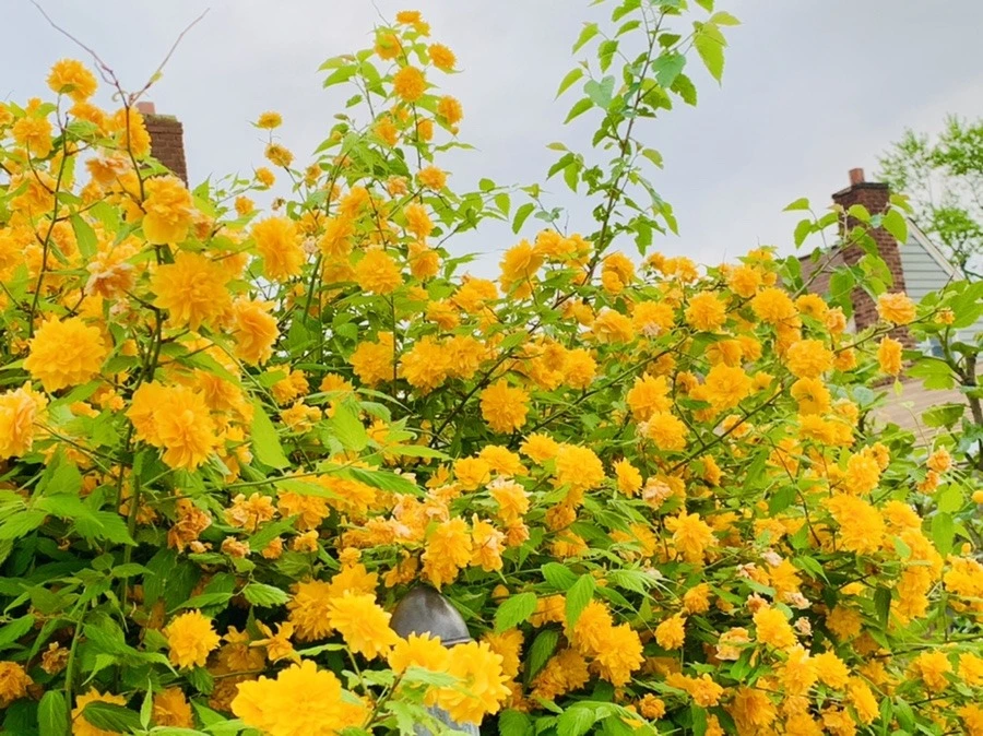 MDpwt9kFfcqPqjhKzZgKOAGTys0