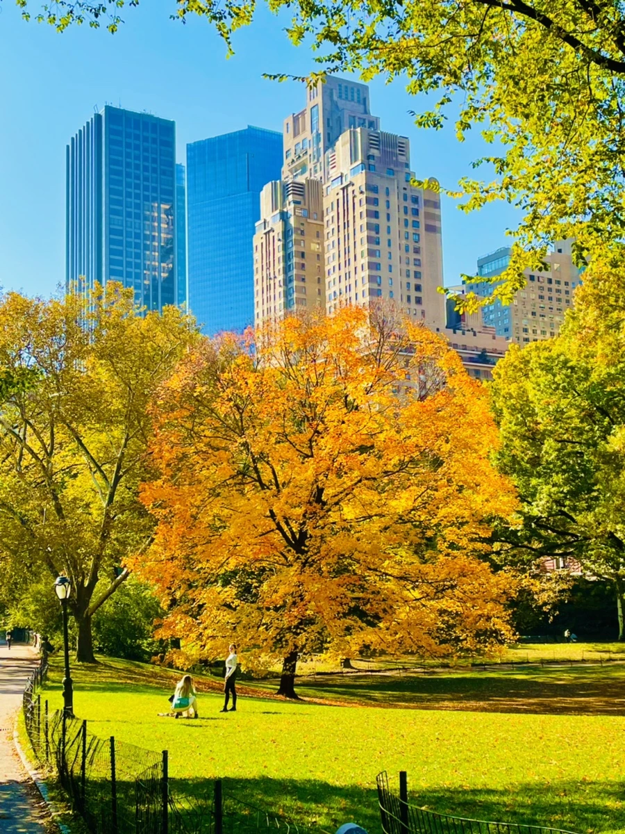 IMG_1711.jpg?type=w966