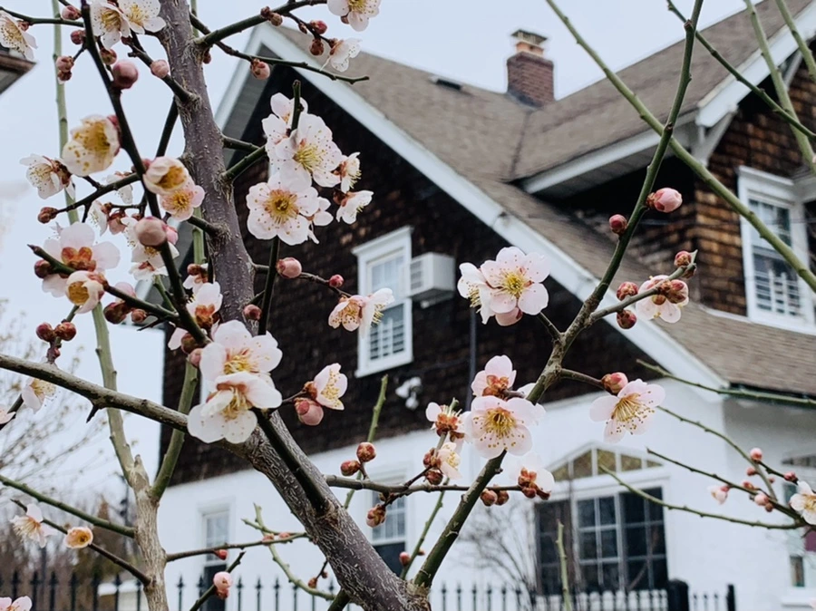 IMG_1672.jpg?type=w966