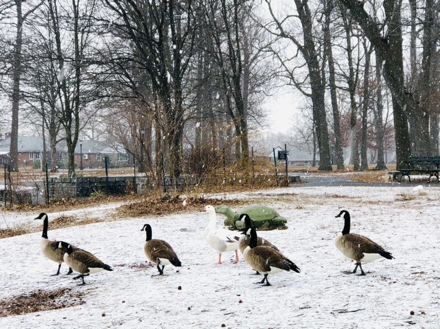 IMG_5938.jpg?type=w966