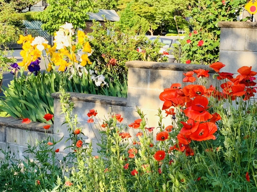 IMG_3489.jpg?type=w966