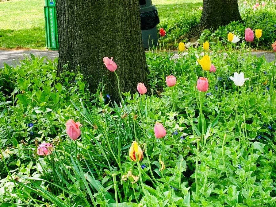 IMG_1388.jpg?type=w966