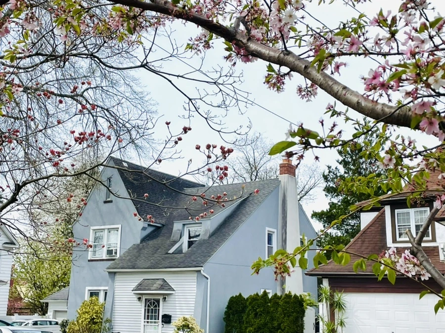 IMG_1185.jpg?type=w966