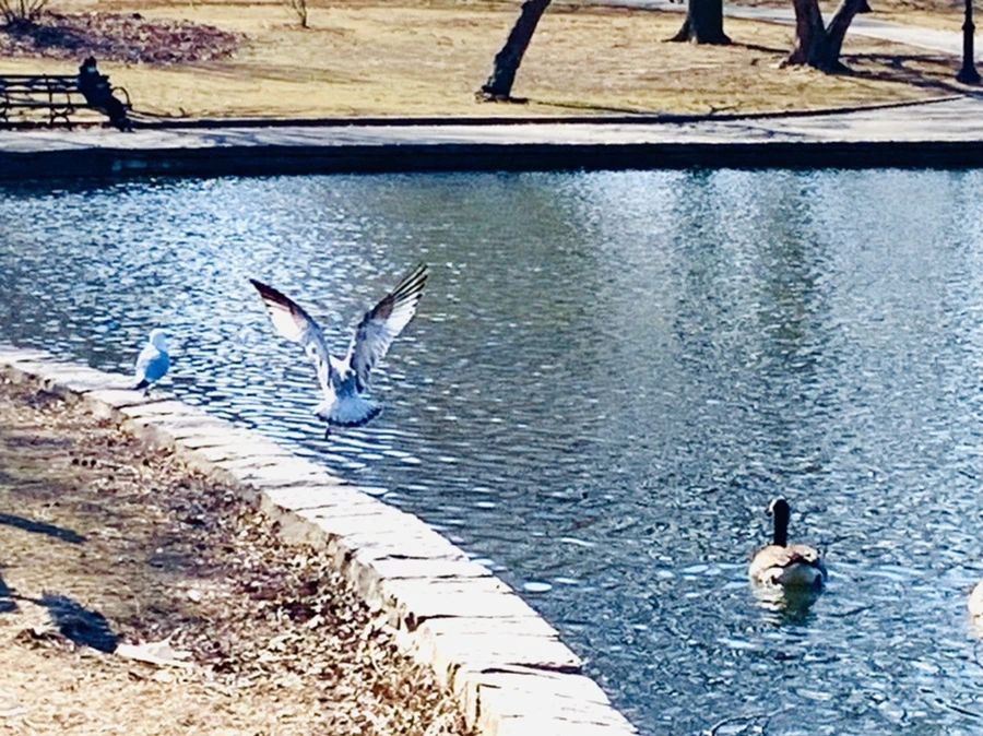 IMG_9345.jpg?type=w966