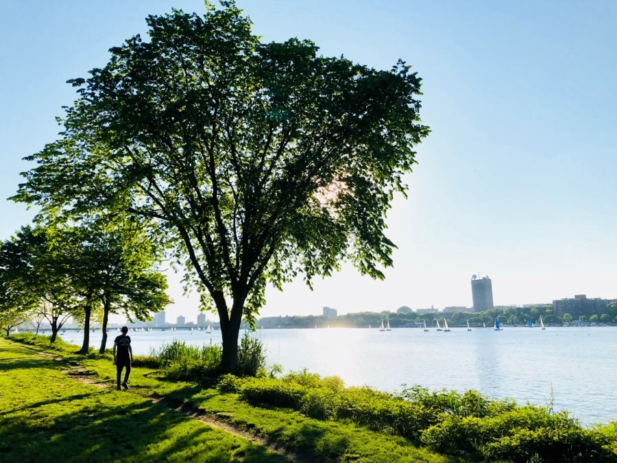 IMG_6795.jpg?type=w966