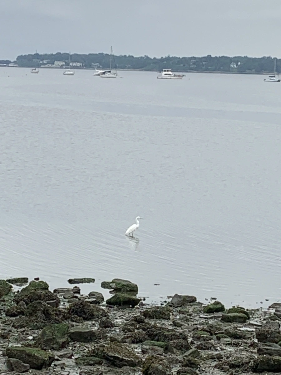 IMG_3634.jpg?type=w966