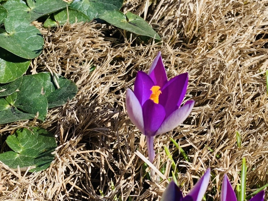 IMG_8235.jpg?type=w966