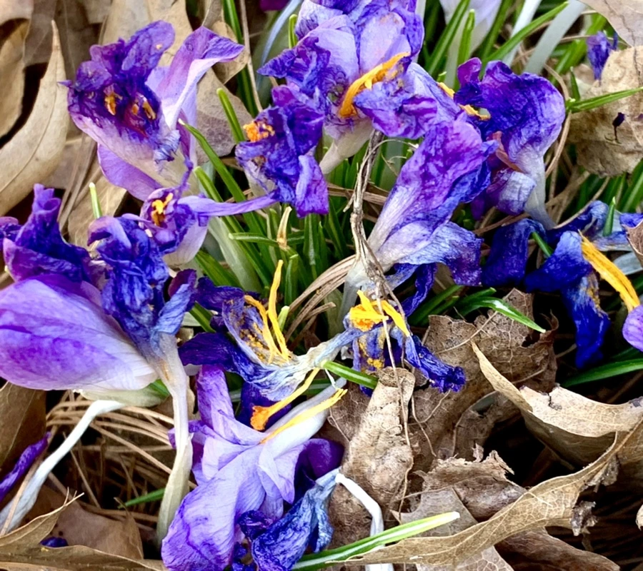 IMG_1496.jpg?type=w966