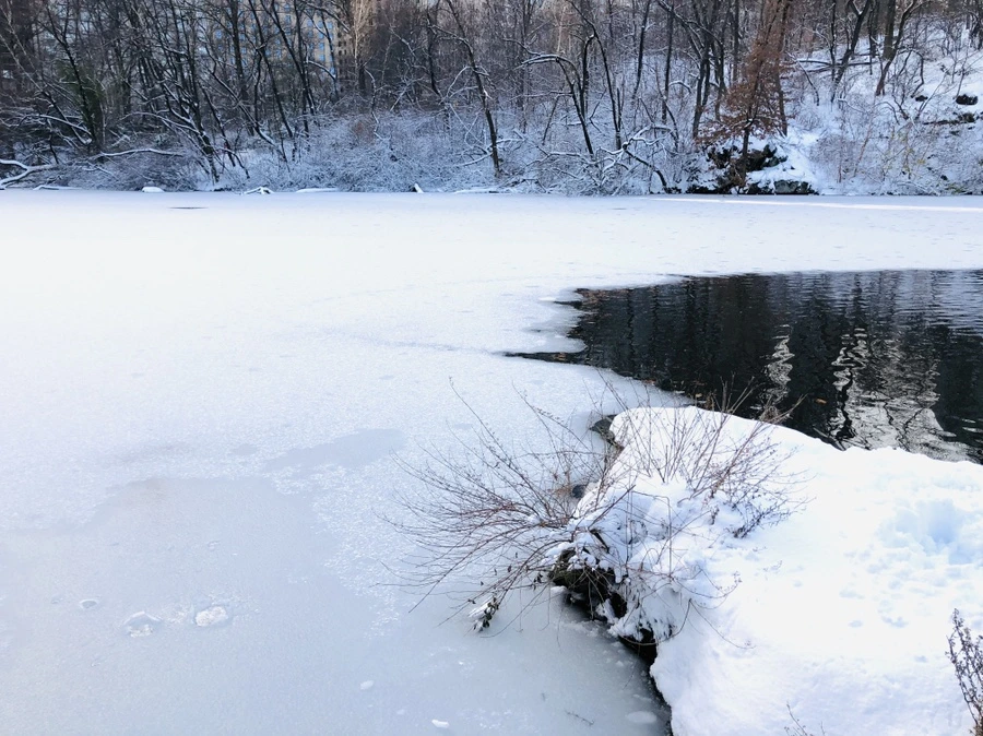 IMG_7197.jpg?type=w966