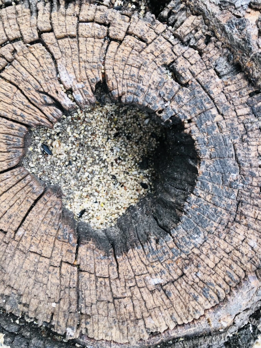 IMG_0069.jpg?type=w966