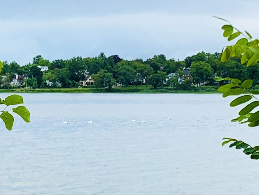 IMG_7715.jpg?type=w966