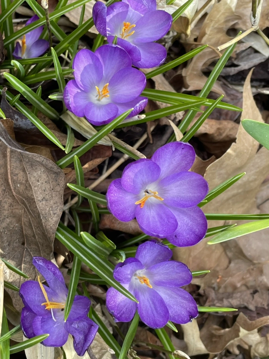 IMG_5188.jpg?type=w966