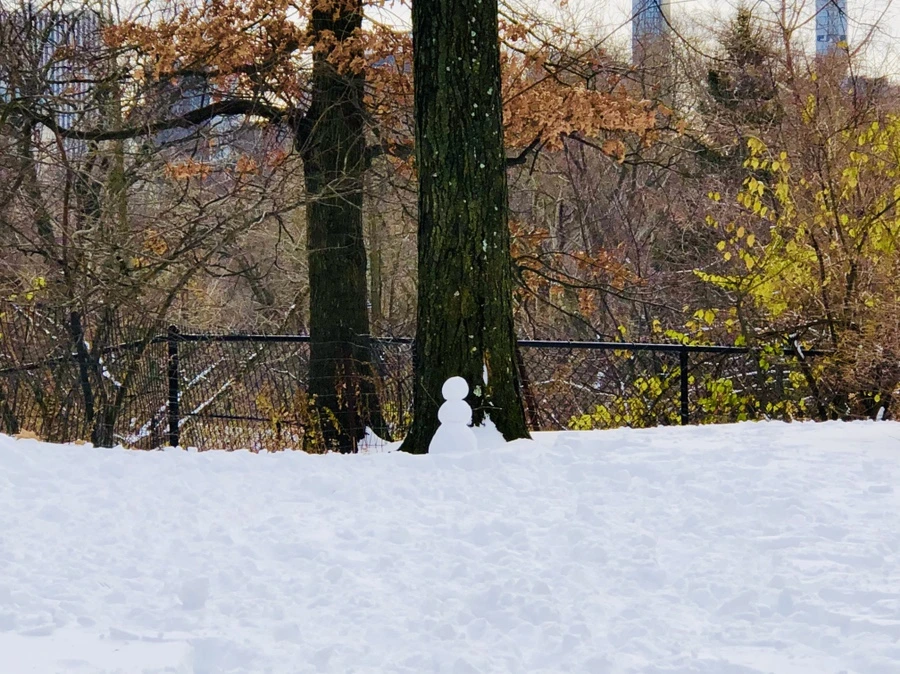 IMG_7336.jpg?type=w966