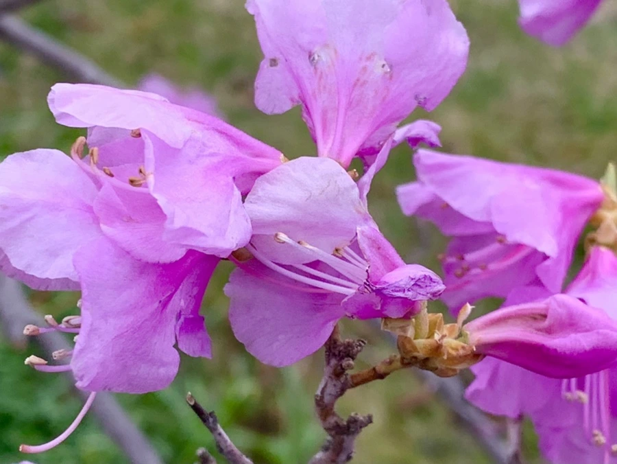 IMG_6766.jpg?type=w966