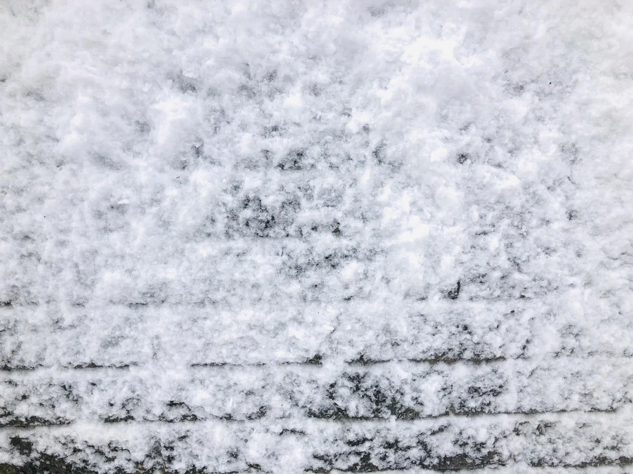 IMG_8975.jpg?type=w966